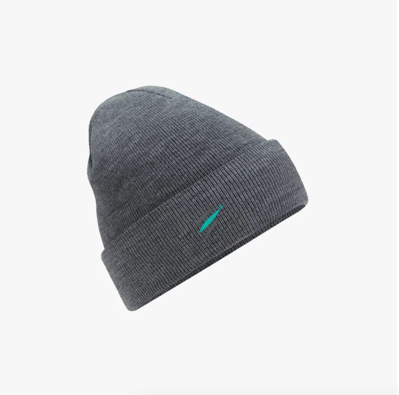The Chosen grey beanie